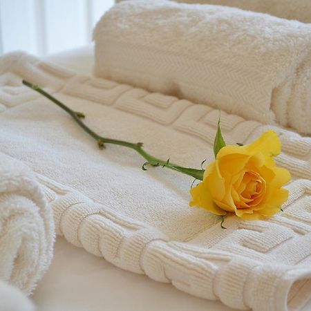 White Rose Guest House Tenby Exteriér fotografie